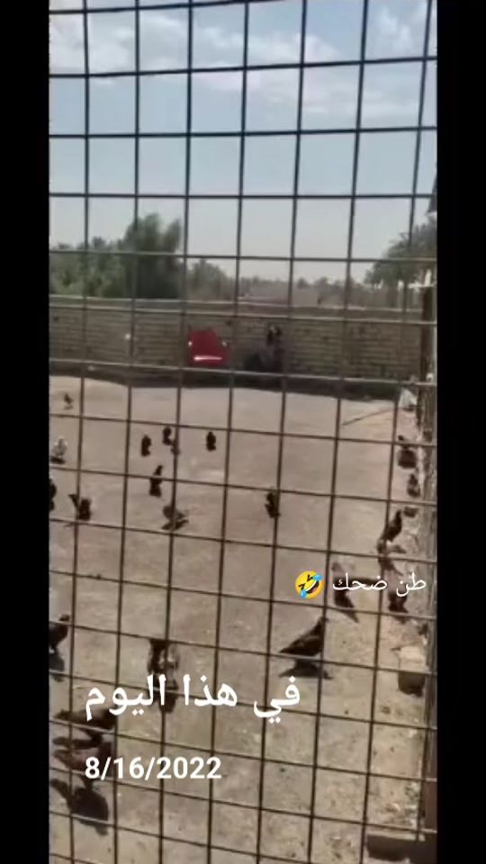 TikTok video thumbnail by 0n.cc