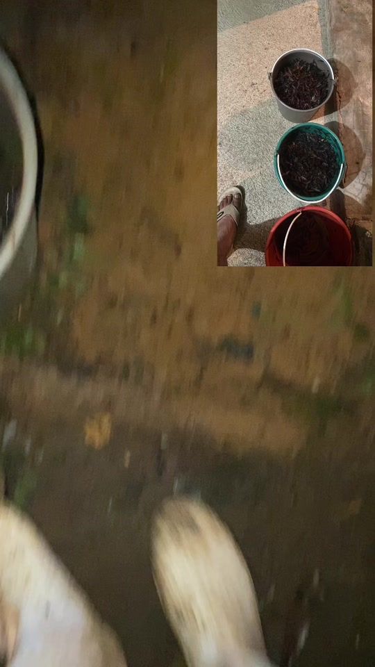 TikTok video thumbnail by luia981