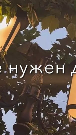 TikTok video thumbnail by vvammy