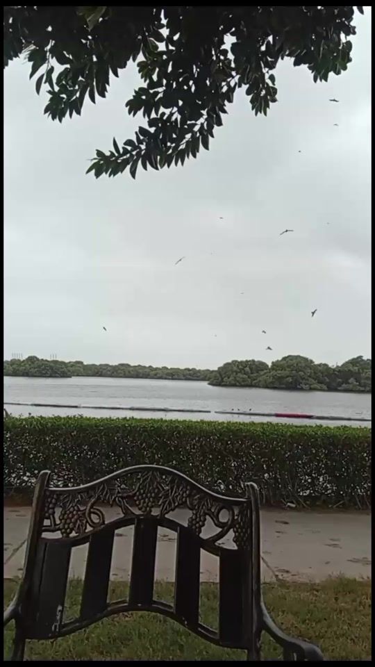 TikTok video thumbnail by advuroosrajput3