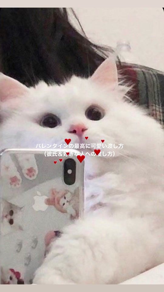 TikTok video thumbnail by melon368e
