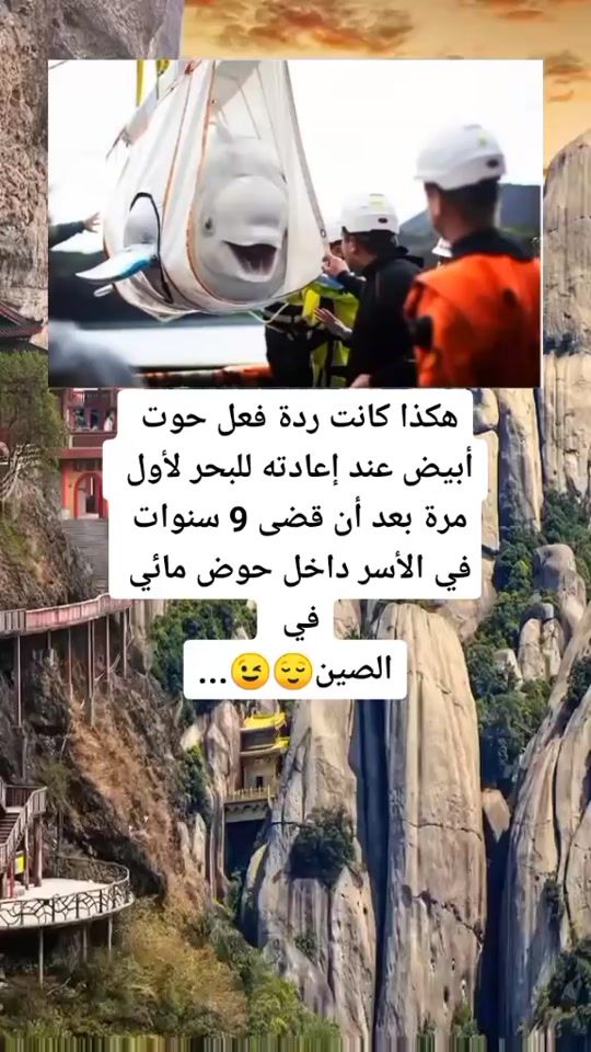 TikTok video thumbnail by th__om__as