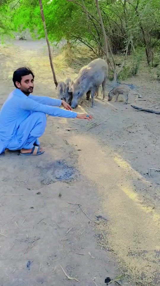 TikTok video thumbnail by raicekamran29