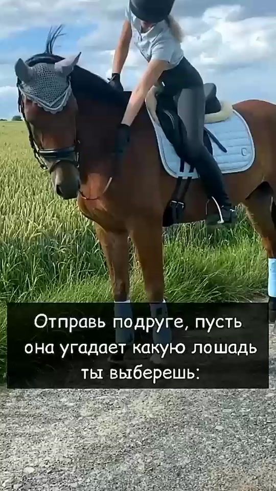 TikTok video thumbnail by horse_wrong_off