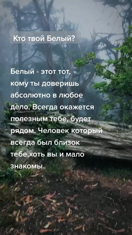 TikTok video thumbnail by ulikethis.s