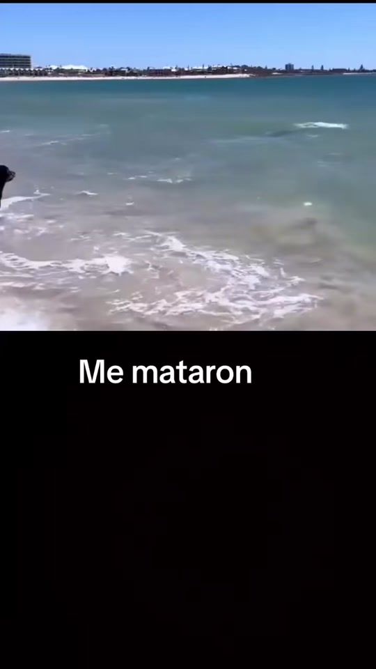TikTok video thumbnail by julisprott