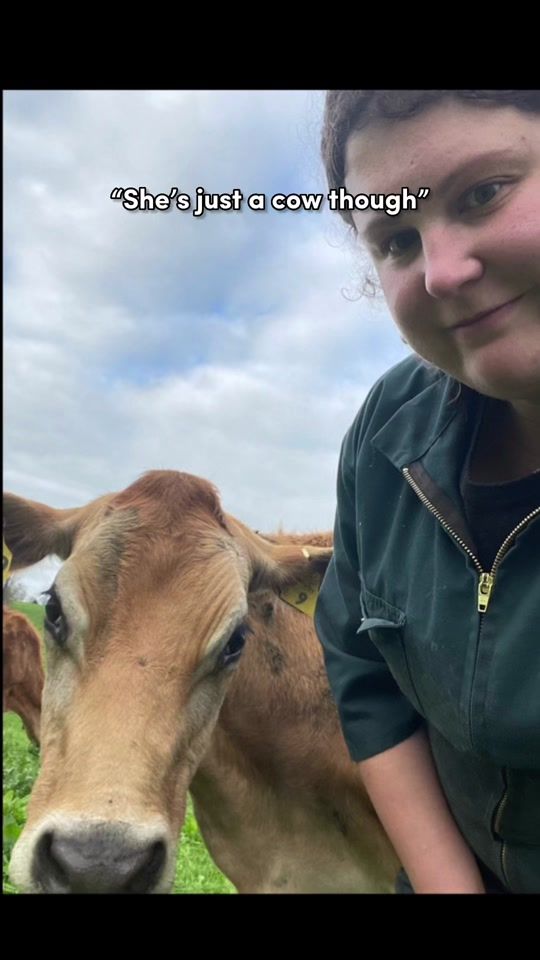 TikTok video thumbnail by nzfarming124