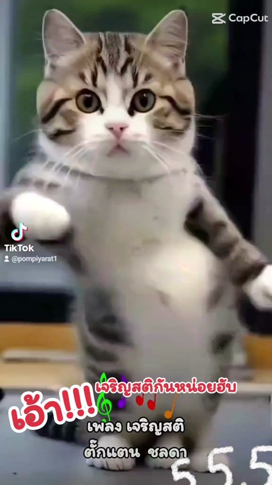 TikTok video thumbnail by pompiyarat1