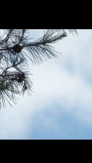 TikTok video thumbnail by sherl_star