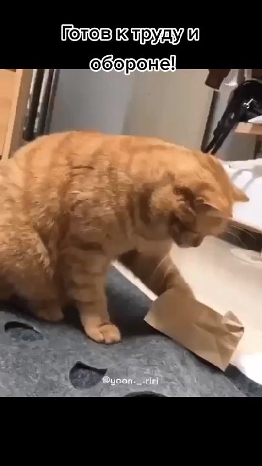 TikTok video thumbnail by florens_55