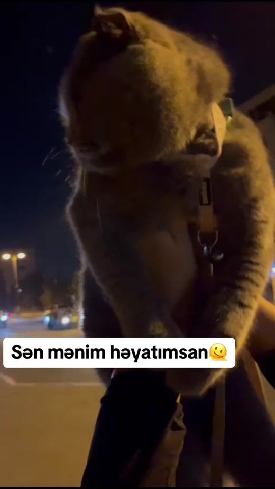 TikTok video thumbnail by patiik.15.05