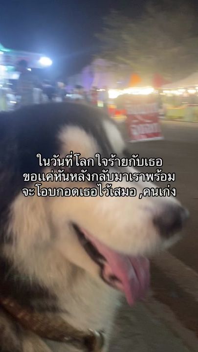TikTok video thumbnail by thipppppppp.naa