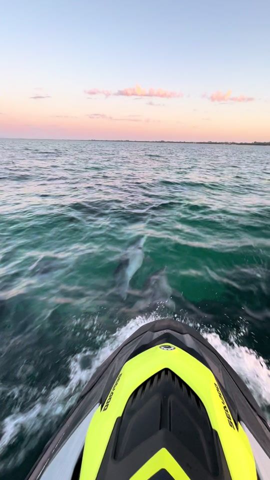 TikTok video thumbnail by westtownsend