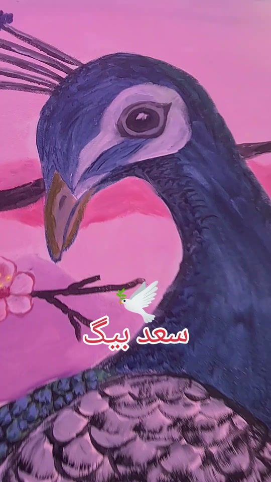 TikTok video thumbnail by mrbaig333