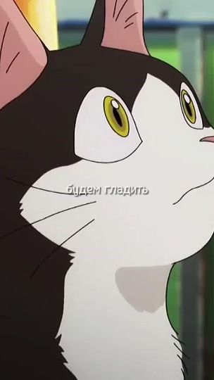 TikTok video thumbnail by csmloll