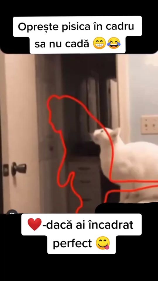 TikTok video thumbnail by andreipoama0