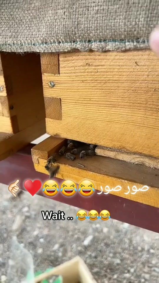TikTok video thumbnail by almsafr2366