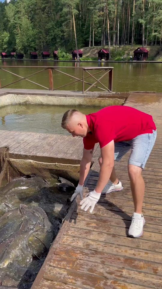 TikTok video thumbnail by mihalhuk1989