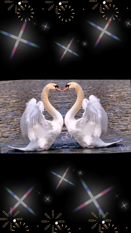 TikTok video thumbnail by smeh279