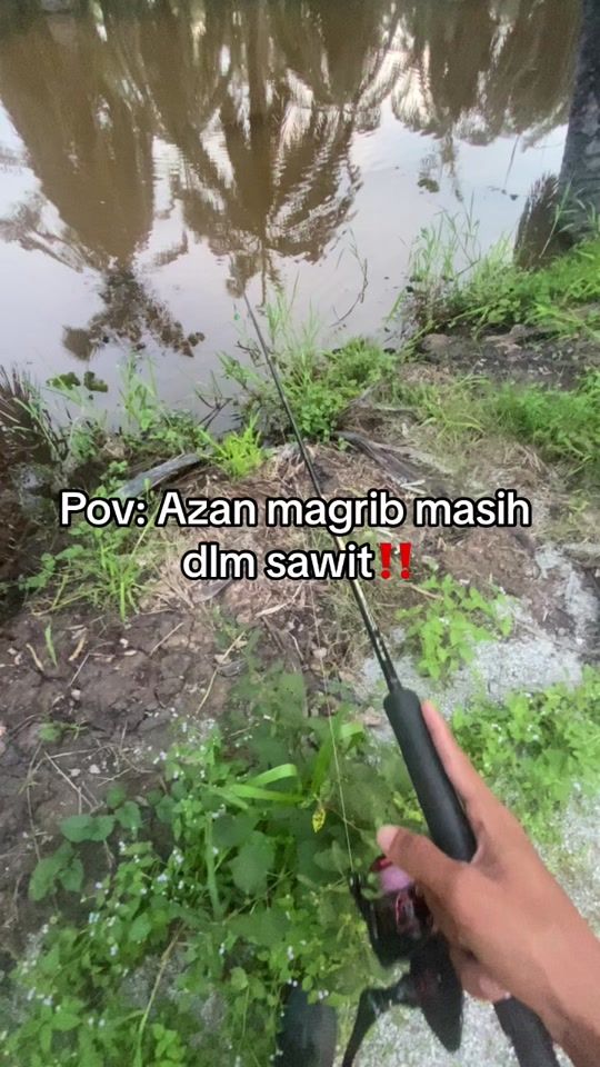 TikTok video thumbnail by mursfishing