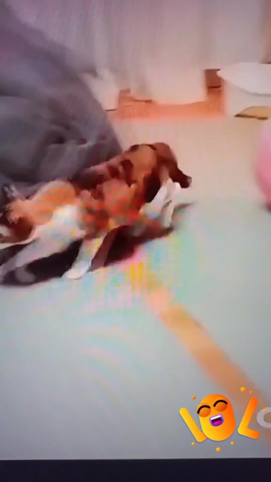 TikTok video thumbnail by sheonakallu
