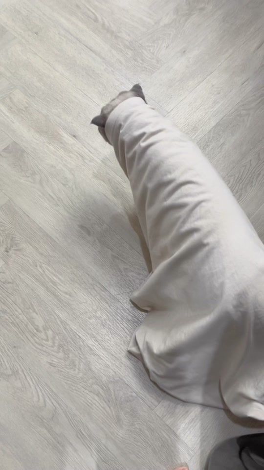 TikTok video thumbnail by cielmeowmun