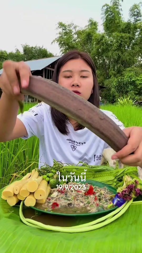 TikTok video thumbnail by kungpakin