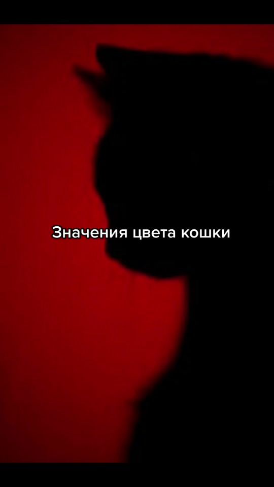 TikTok video thumbnail by vvitch_house