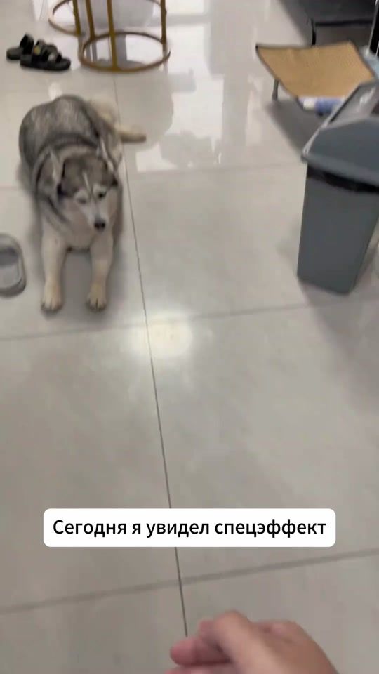 TikTok video thumbnail by xaskitusa