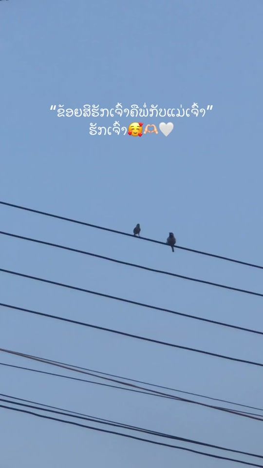 TikTok video thumbnail by loun999990