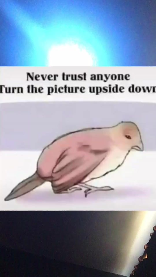 TikTok video thumbnail by steezy_on._yt