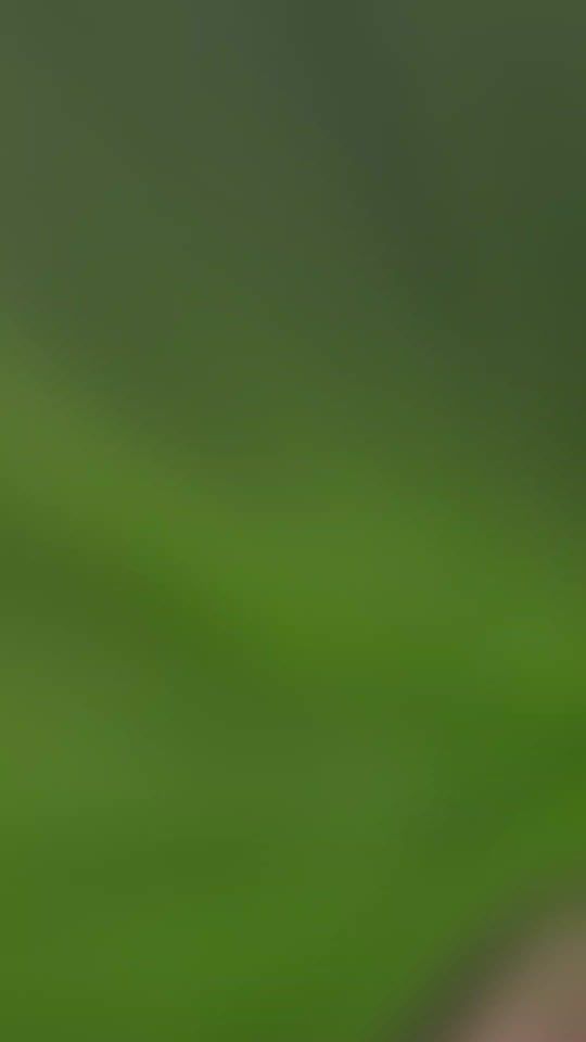 TikTok video thumbnail by thawthaw142