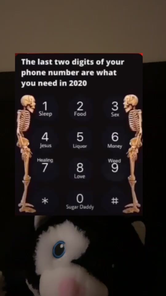 TikTok video thumbnail by holadonkey