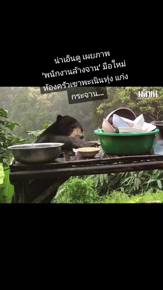 TikTok video thumbnail by fat_d_max