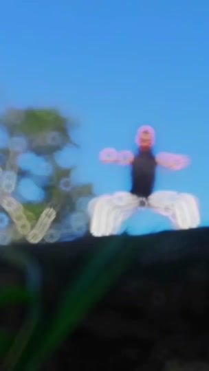 TikTok video thumbnail by nimodi.2