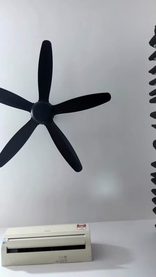 TikTok video thumbnail by celly.kac
