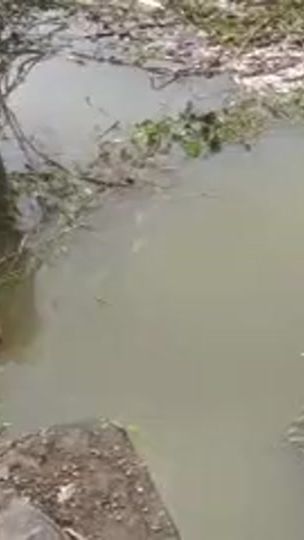 TikTok video thumbnail by haneefa244