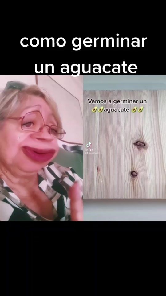TikTok video thumbnail by labisa58