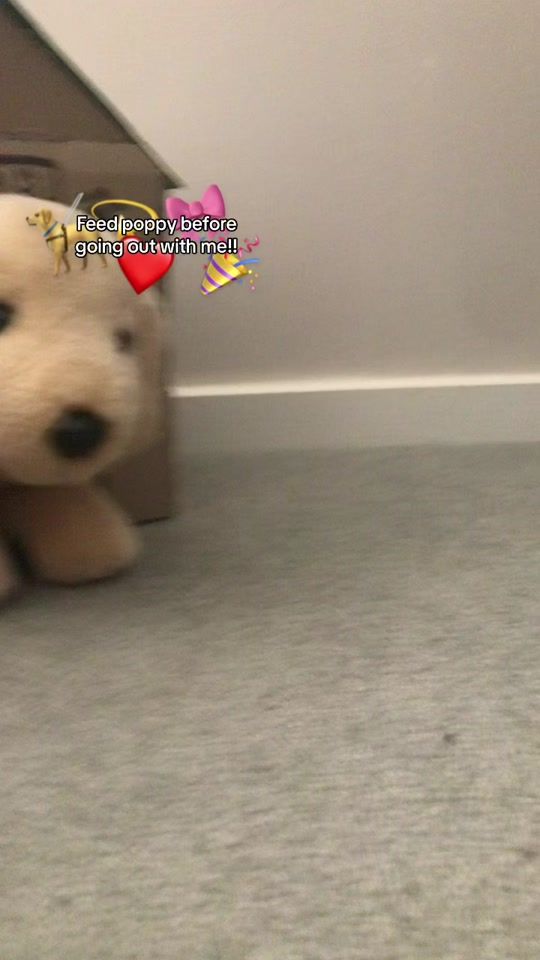 TikTok video thumbnail by esaplush