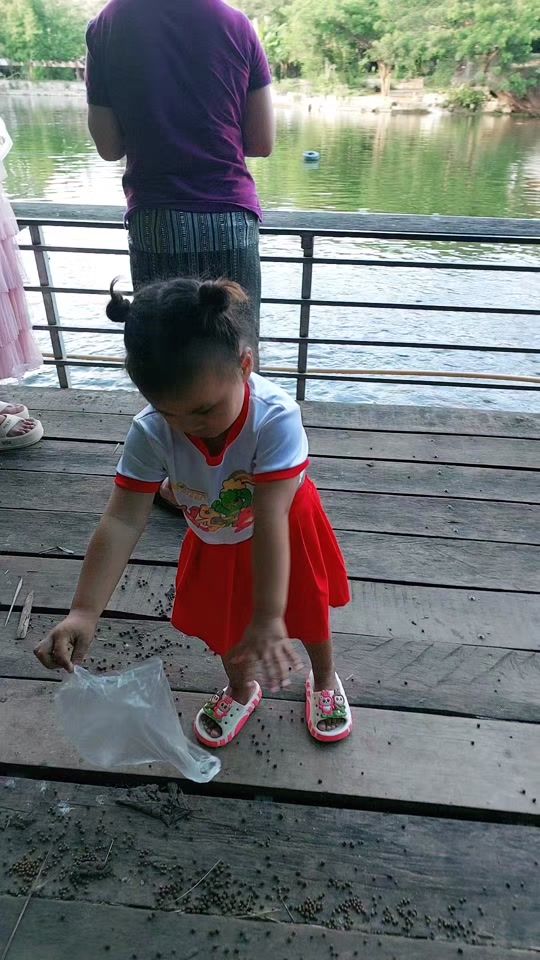 TikTok video thumbnail by user9562506107646