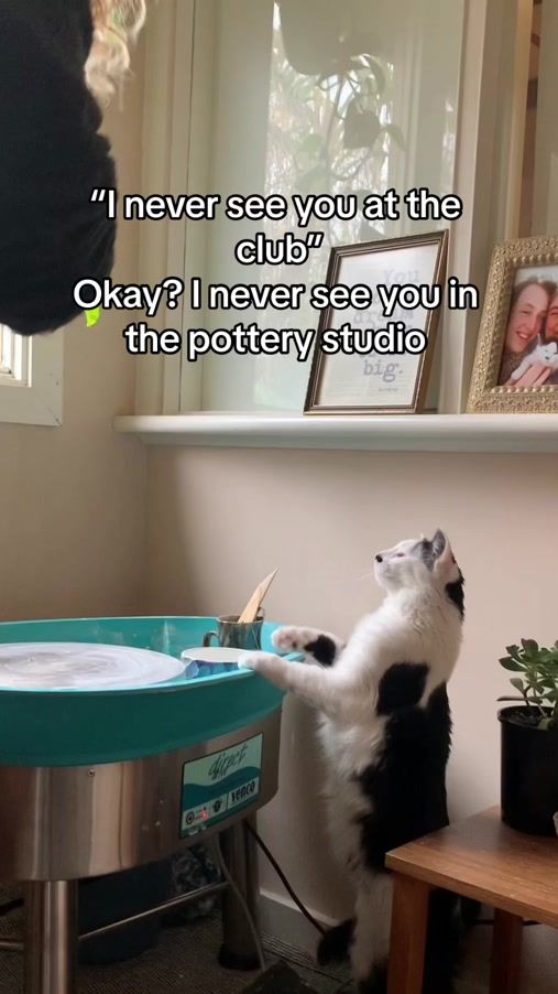 TikTok video thumbnail by megthepotter