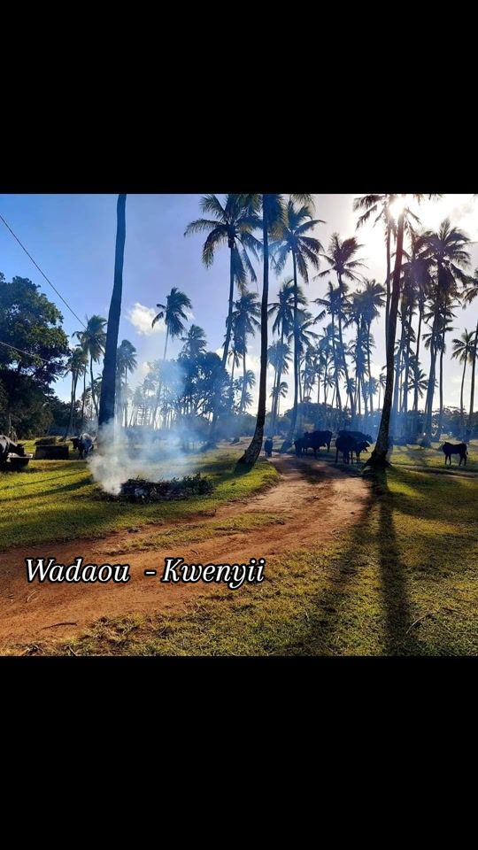 TikTok video thumbnail by tribal.paddock.wdu