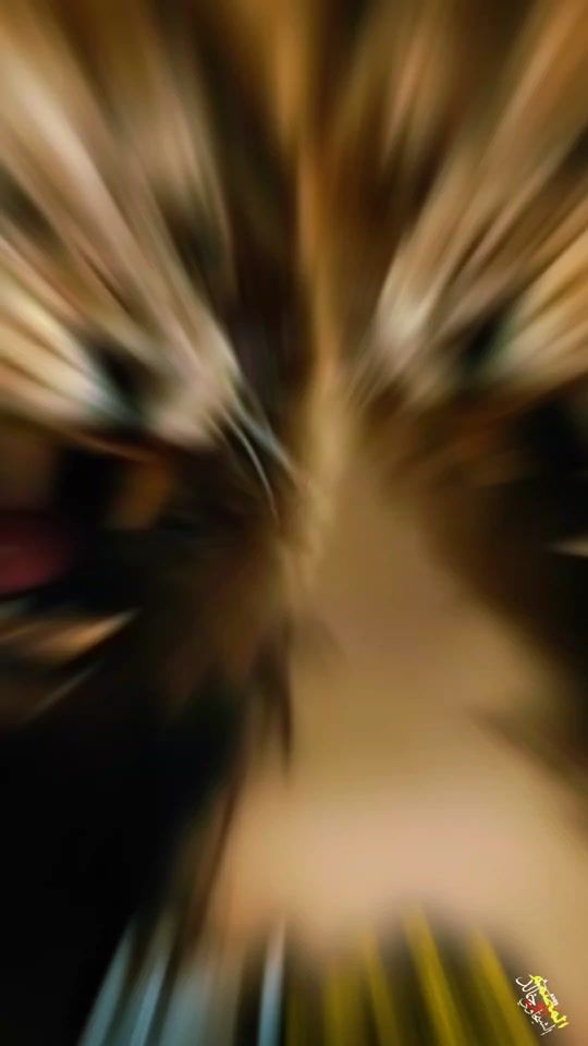 TikTok video thumbnail by nmr1119