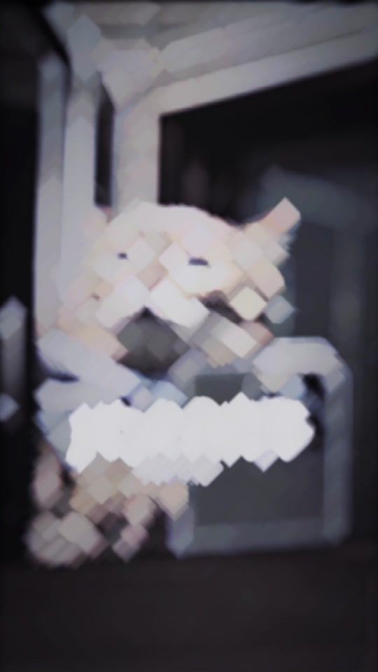 TikTok video thumbnail by tororodayo0708