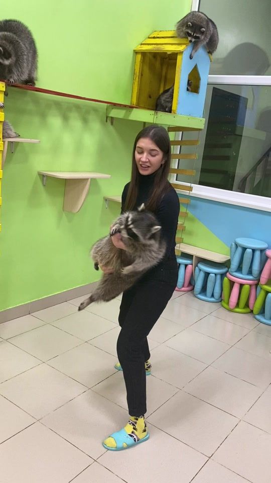 TikTok video thumbnail by planeta_enotov