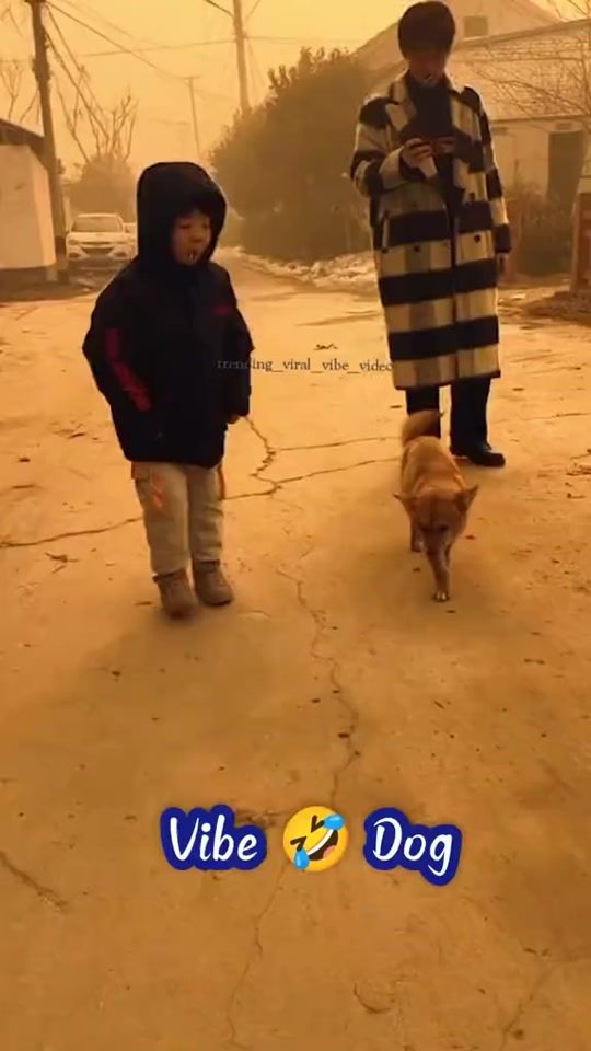 TikTok video thumbnail by dqfans07