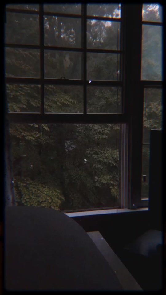 TikTok video thumbnail by welfull