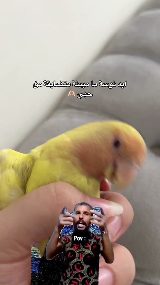 TikTok video thumbnail by nousastore3