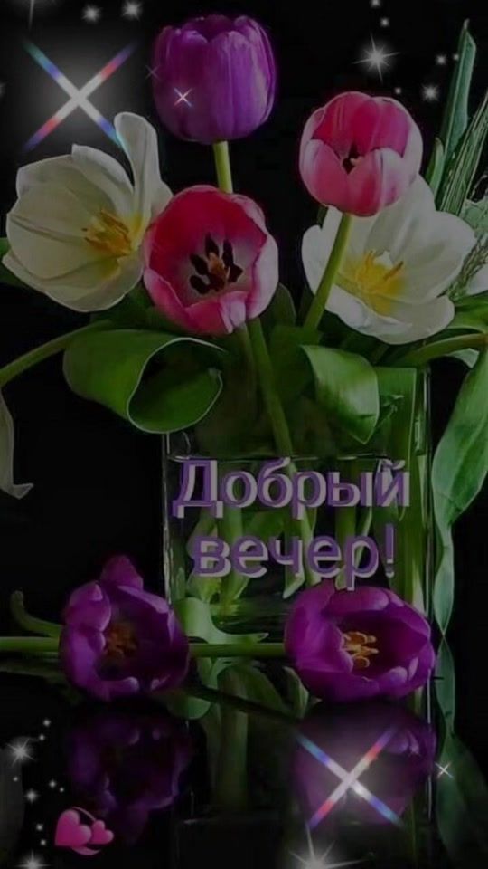 TikTok video thumbnail by irina_rebrova