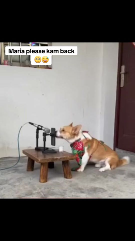 TikTok video thumbnail by dnny.by3